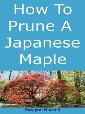 cover image of How to Prune a Japanese Maple